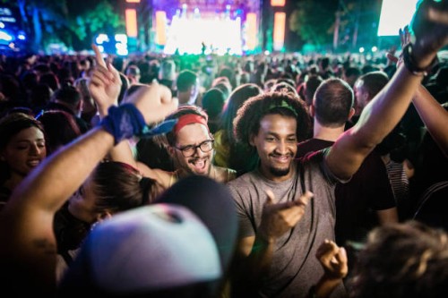 large group of cheerful people having fun on a music concert by night. - concert stock pictures, royalty-free photos & images