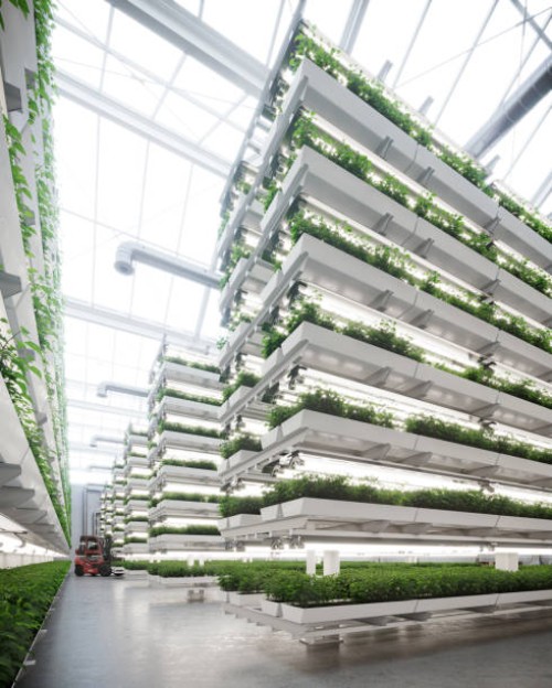 large vertical farm inside a greenhouse image generated digitally - food stock pictures, royalty-free photos & images