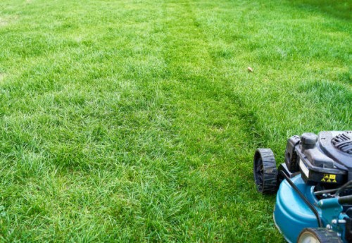 lawn mower on fresh cut grass in backyard, grass, green, machine, mowed lawn - garden decoration stock pictures, royalty-free photos & images