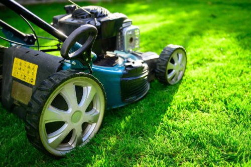 lawn mower on green grass in a sunny day. - garden decoration stock pictures, royalty-free photos & images