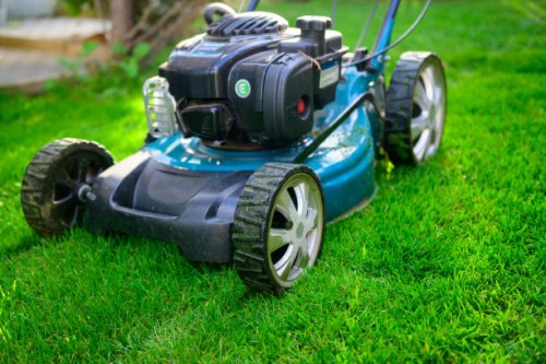 lawn mower on green grass in backyard - garden decoration stock pictures, royalty-free photos & images