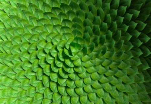 leaves pattern - food stock pictures, royalty-free photos & images