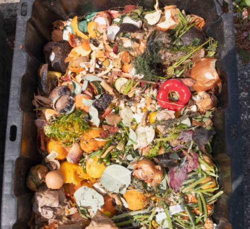 leftovers in compost container - food stock pictures, royalty-free photos & images
