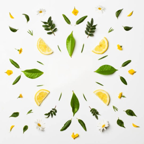 lemon frame - food stock pictures, royalty-free photos & images