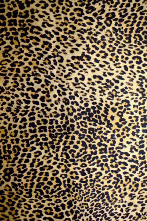 leopards (panthera pardus) fur, fabric - fashion stock pictures, royalty-free photos & images