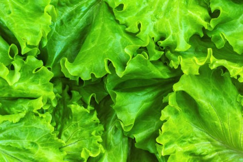 lettuce salad green leaves full frame background texture. top view. flat lay. concept. close up. - food stock pictures, royalty-free photos & images