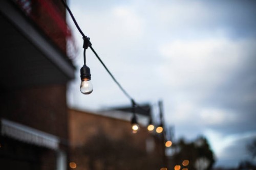 light bulb - garden decoration stock pictures, royalty-free photos & images