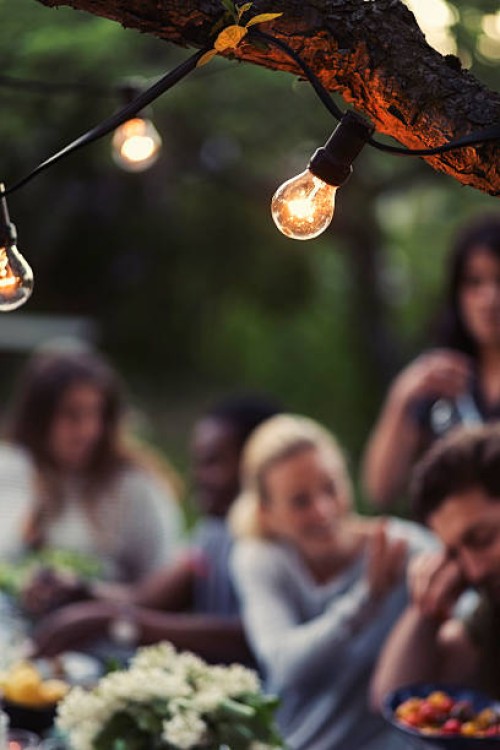light bulbs on branch with friends enjoying dinner party at yard - garden decoration stock pictures, royalty-free photos & images