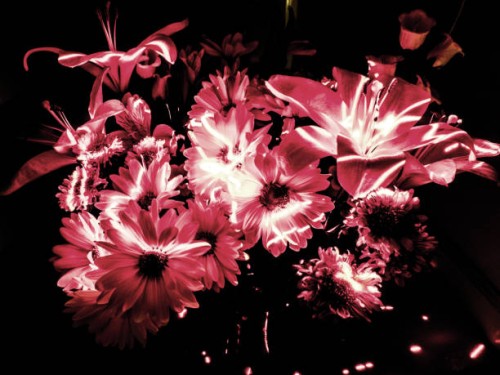light flowers - garden decoration stock pictures, royalty-free photos & images
