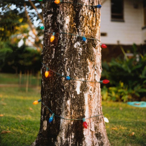 lights wrapped around tree - garden decoration stock pictures, royalty-free photos & images