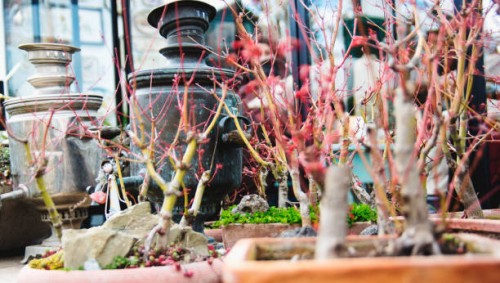 little red riding hood - garden decoration stock pictures, royalty-free photos & images