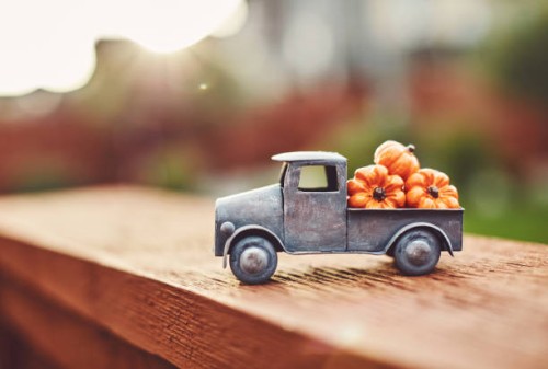 little truck with load of miniature pumpkins for fall and thanksgiving - garden decoration stock pictures, royalty-free photos & images