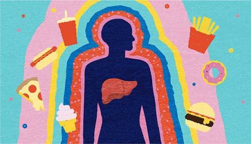 liver health unhealthy eating junk food diet concept with silhouette of person surrounded by sugar and fast food - junk food stock illustrations
