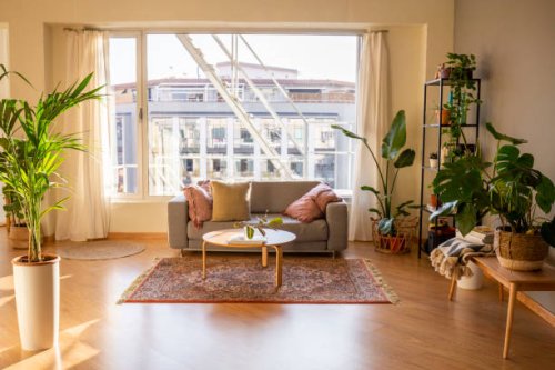 living room at a fashionable loft. wooden floor and furniture. grey cozy sofa, carpet and a lot of plants - home decoration stock pictures, royalty-free photos & images