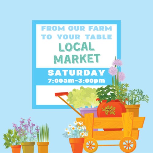 local market. herb background - garden decoration stock illustrations