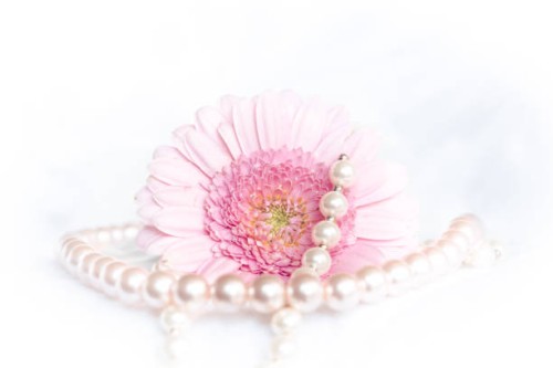 lovely pink - garden decoration stock pictures, royalty-free photos & images