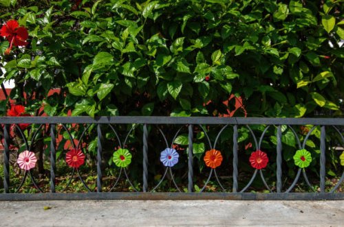 low metalwork fence with curved inserts with flower decorations around a garden bed planted with a hibiscus bush - garden decoration stock pictures, royalty-free photos & images