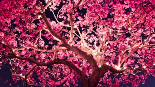magic tree - garden decoration stock pictures, royalty-free photos & images