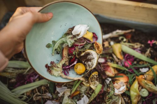 making compost from leftovers - food stock pictures, royalty-free photos & images