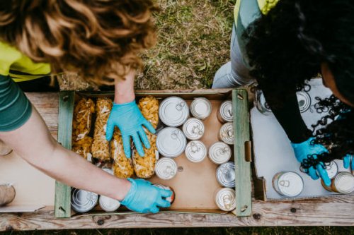 male and female friends arranging food in cardboard boxes - food stock pictures, royalty-free photos & images