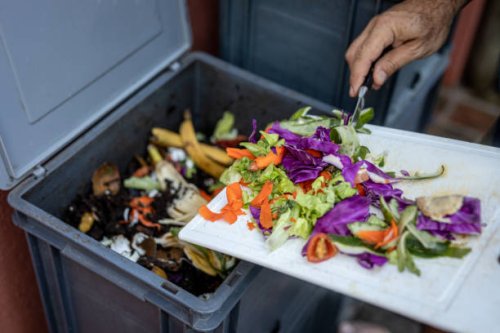 man composting organic remains in home composter - food stock pictures, royalty-free photos & images