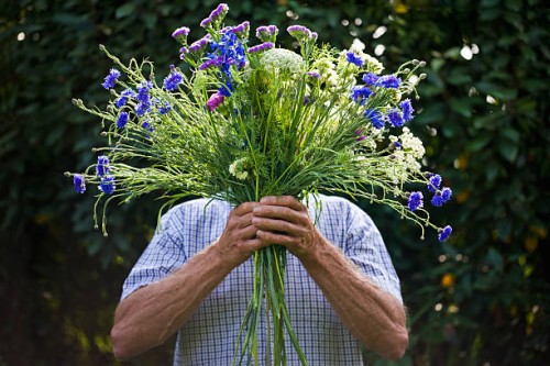 man holding bunch of garden flowers. - garden decoration stock pictures, royalty-free photos & images