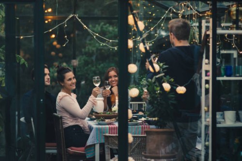man photographing young friends raising toast with wineglasses during dinner party - garden decoration stock pictures, royalty-free photos & images