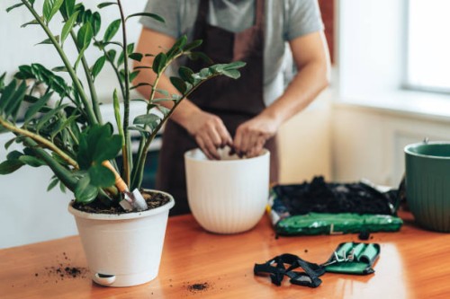 man pours earth from his hands into white pot - garden decoration stock pictures, royalty-free photos & images