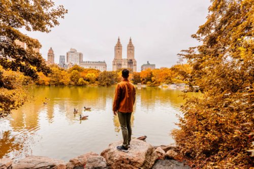 man standing by the lake, looking at autumn leaves colors in central park, new york city, usa - travel photos et images de collection