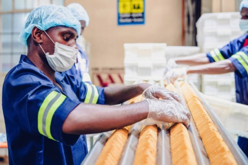 manual workers on job at a food processing plant in africa - food stock pictures, royalty-free photos & images