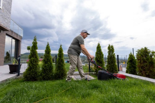 mature man cutting grass in his backyard - garden decoration stock pictures, royalty-free photos & images