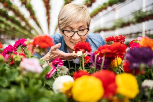 mature woman smelling flowers - garden decoration stock pictures, royalty-free photos & images