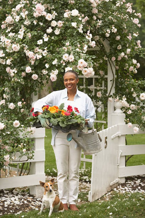mature woman standing beneath archway in garden, smiling, portrait - garden decoration stock pictures, royalty-free photos & images