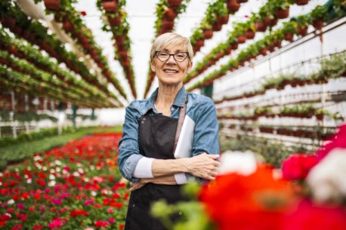 mature woman working at greenhouse garden posing holding digital tablet - garden decoration stock pictures, royalty-free photos & images