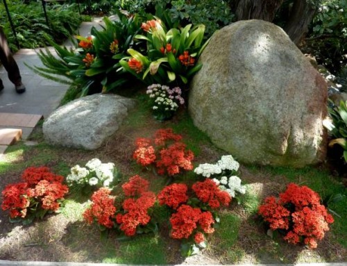 meditation garden, srf - garden decoration stock pictures, royalty-free photos & images