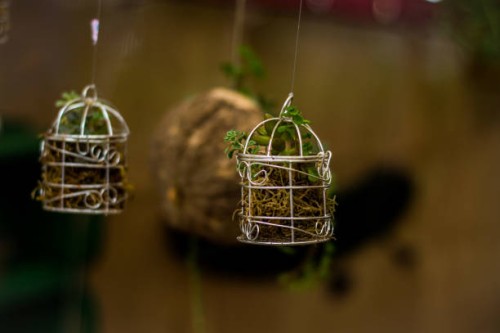 micro garden - garden decoration stock pictures, royalty-free photos & images