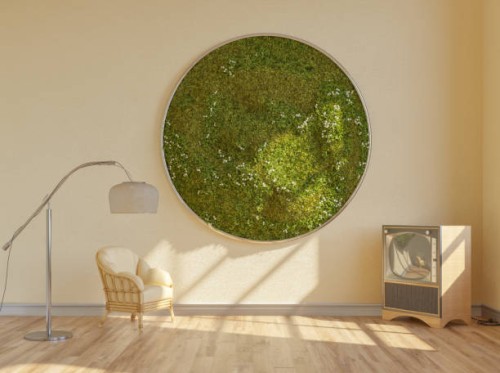 mid-century living room with moss wall - home decoration stock pictures, royalty-free photos & images