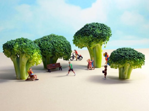miniature park with broccoli trees - food stock pictures, royalty-free photos & images