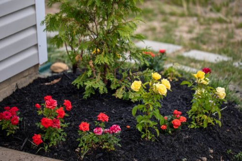 miniature roses as decoration - garden decoration stock pictures, royalty-free photos & images