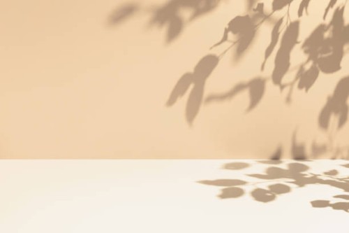 minimal empty cream and beige room background. modern studio showcase, product display, 3d stage, front view of table with natural tree leaves shadows. - fashion stock pictures, royalty-free photos & images