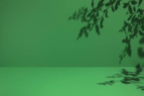 minimal empty monochrome green room background. modern studio showcase, product display, 3d stage, front view of table with natural tree leaves shadows. - garden decoration photos et images de collection