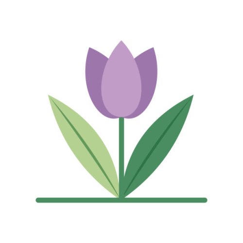 minimalist purple tulip vector illustration - garden decoration stock illustrations