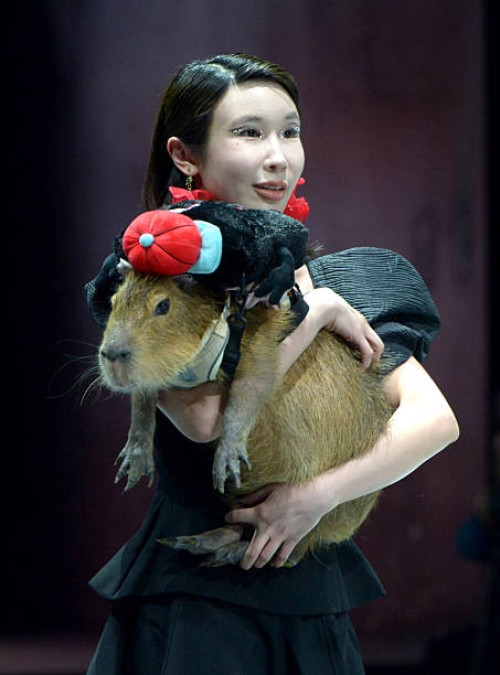 Model holding a capybara walks the runway during 2025 Petjoy Fashion Week at Shanghai Fashion Center on March 28, 2025 in Shanghai, China. The 2025...