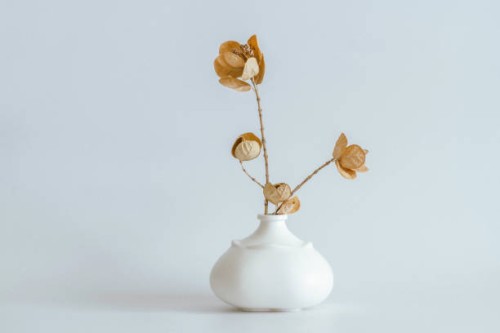 modern interior decoration, dried flowers and stylish ceramic vases - home decoration stock pictures, royalty-free photos & images