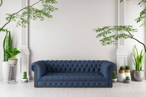 modern interior sofa with green plants - garden decoration stock pictures, royalty-free photos & images