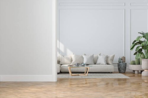 modern living room interior with empty wall, sofa, house plants and coffee table - home decoration stock pictures, royalty-free photos & images