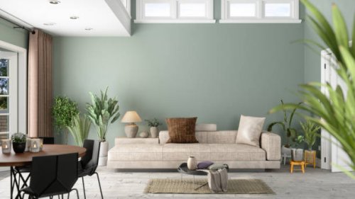 modern living room interior with green plants, sofa and green wall background - home decoration stock pictures, royalty-free photos & images