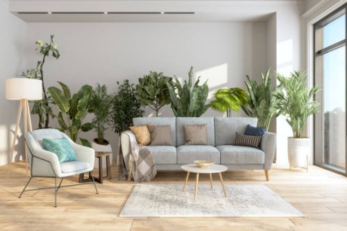 modern living room interior with potted plants behind the gray colored sofa and armchair. - home decoration stock pictures, royalty-free photos & images