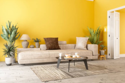 modern living room interior with sofa, potted plants and yellow color wall - home decoration stock pictures, royalty-free photos & images