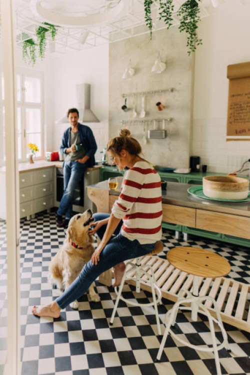 morning in the kitchen with our dog - home decoration stock pictures, royalty-free photos & images